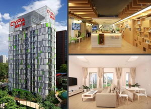 长租公寓拿房,比开发商拿地更难 拿对了有暴利,拿错了血本无归